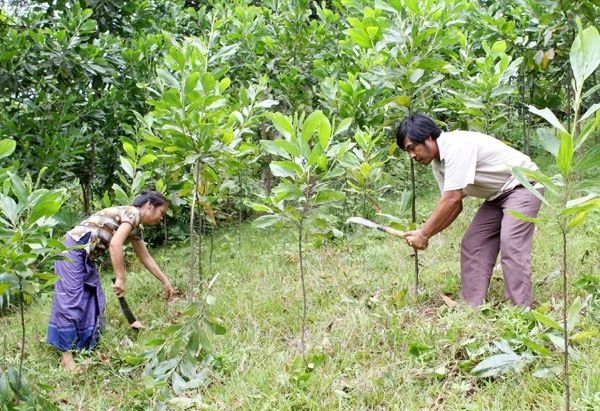 doanh nghiệp trong ngành vẫn gặp nhiều thách thức từ việc phần lớn phát triển từ hộ sản xuất gia đình, quy mô và máy móc sản xuất chưa được đầu tư đúng mức để làm hàng xuất khẩu. 