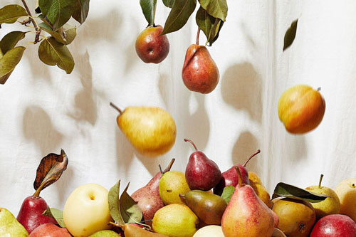 Ăn 1 quả lê mỗi ngày, bạn có thể thu về 11 lợi ích tốt cho cả sức khỏe lẫn vóc dáng