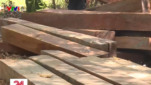 Phát hiện nhiều điểm tập kết gỗ ở rừng đặc dụng Nam Kar, Đắk Lắk