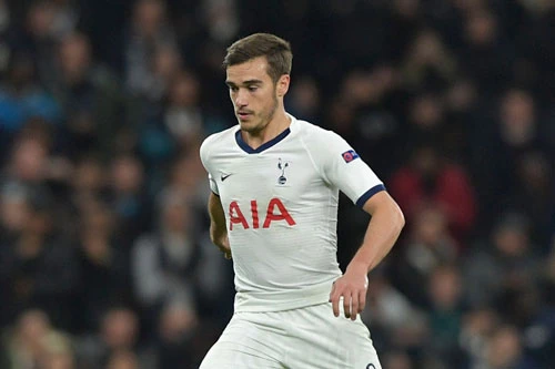 Tiền vệ trung tâm: Harry Winks (Tottenham).