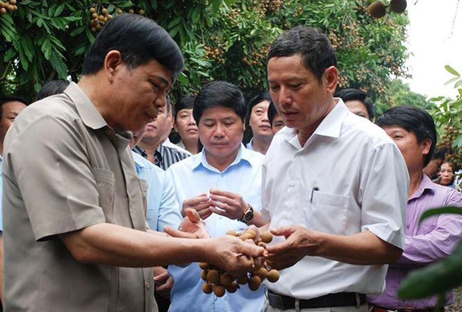 Lãnh đạo tỉnh mỗi ngày phải dành 2 tiếng đi "bán" nhãn cho nông dân