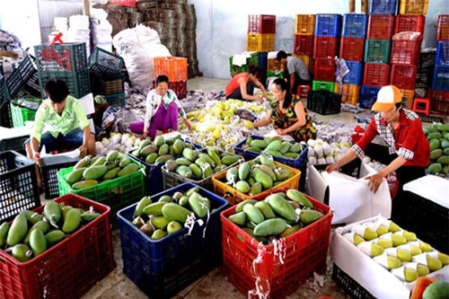 “Nút thắt” logistics khiến nông sản Việt hạn chế giá trị xuất khẩu