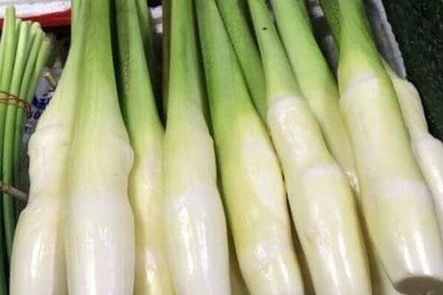 Công dụng của củ niễng với sức khỏe nhiều người không ngờ tới