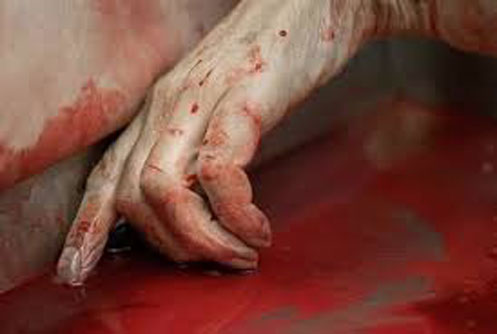 “Rụng tim” trước những điều kỳ quặc người ta làm với xác chết