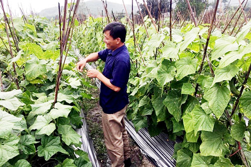 Quảnh Ninh: Uông Bí thêm động lực cho HTX phát triển