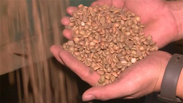 Giá cà phê có xu hướng tăng do lo ngại thiếu hụt nguồn cung - Ảnh 1.