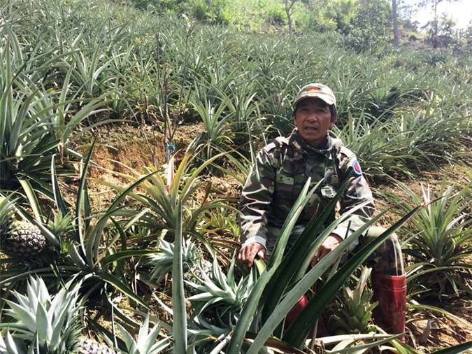 lam dong: dat kho can, trong xen canh van nhanh co tien hinh anh 1