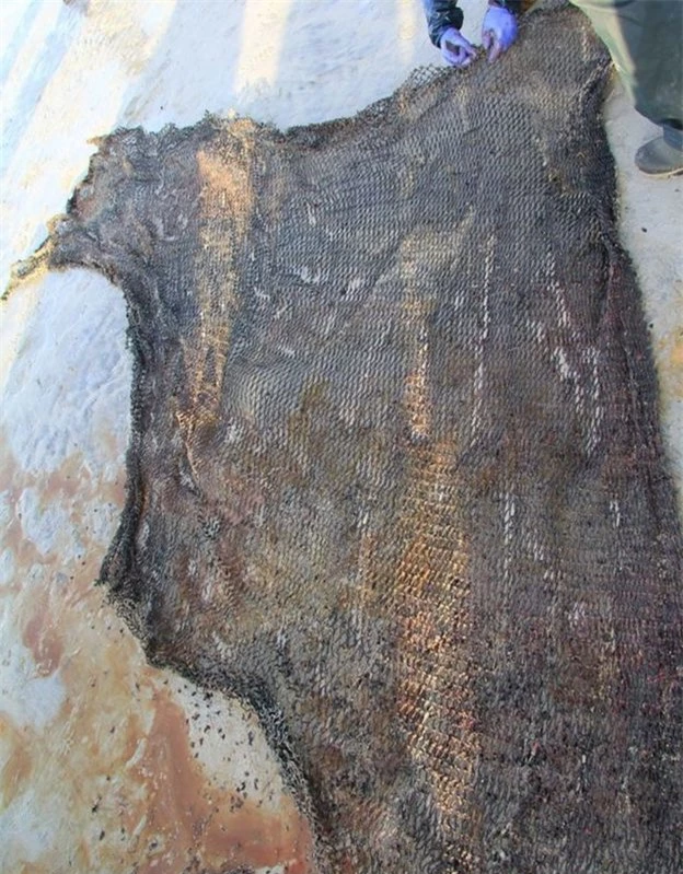  Con cá voi chết bên bờ biển Scotland với 100 kg rác thải trong bụng - Ảnh 3.