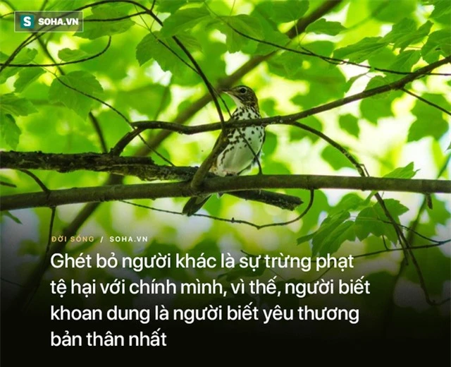  Trò hỏi thầy tại sao yêu 1 đằng cưới 1 nẻo, thầy chỉ ra sai lầm nhiều người hay mắc phải - Ảnh 3.