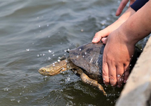 Bật mí 5 cách hóa giải "vận đen", rước tiền vào nhà dịp cuối năm