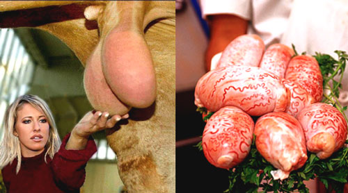 Đặc sản "rùng rợn", bà tranh mua bồi bổ cho ông