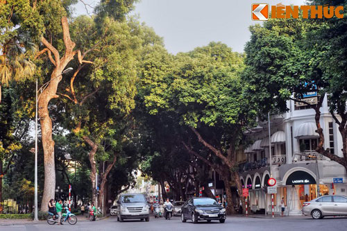 Hé lộ về con phố nhiếp ảnh nổi tiếng Hà Nội xưa