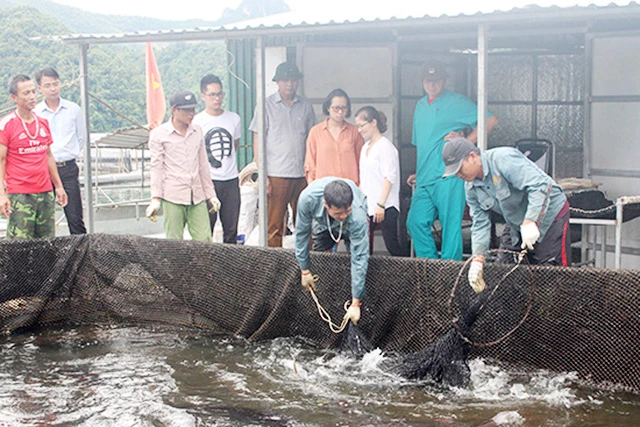 Thủy sản đang là lĩnh vực giàu tiềm năng được huyện Mường La chú trọng