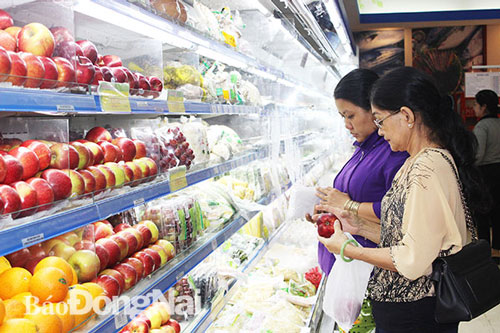 Giao thương với Australia, Canada: Chưa tương xứng tiềm năng