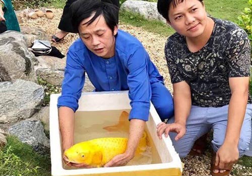 Vì sao Hoài Linh đặt tên cá là Trấn Thành, Trường Giang, Chí Tài?