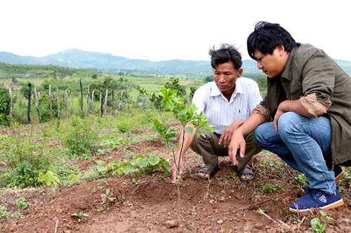 Gia Lai: 'Thủ phủ bể nợ' xây dựng vùng chuyên canh cây có múi VietGAP