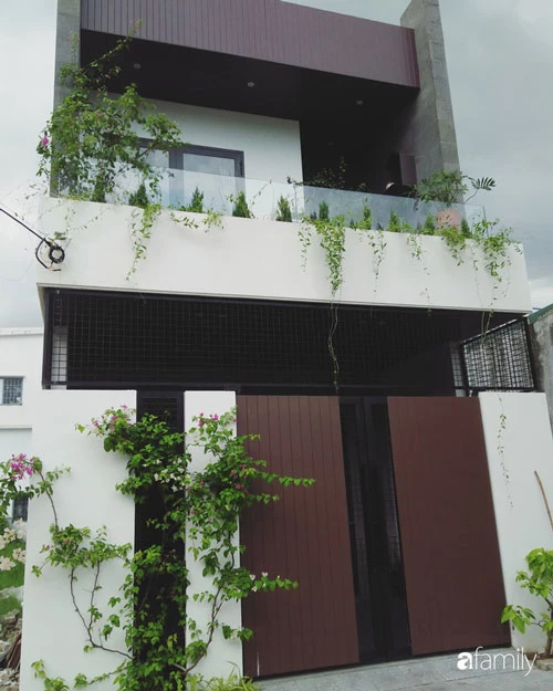 Ngôi nhà phố xanh tươi cây cối cùng lối thiết kế hiện đại.