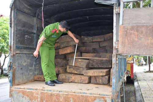 Lực lượng chức năng đang kiểm tra số gỗ lậu trên xe ô tô.