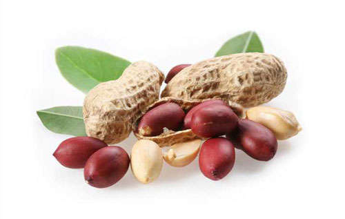 Công dụng kỳ diệu khi mỗi ngày ăn vài hạt lạc