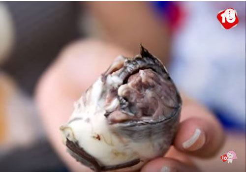 CLIP: 10 món ăn đặc sản nổi tiếng bốc mùi nhất hành tinh