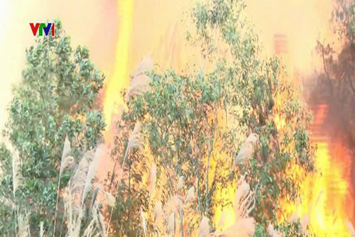 Khẩn trương khắc phục cháy rừng ở Bắc Giang