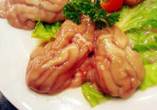 “Sợ tái mặt” những món ăn kinh dị từ não động vật
