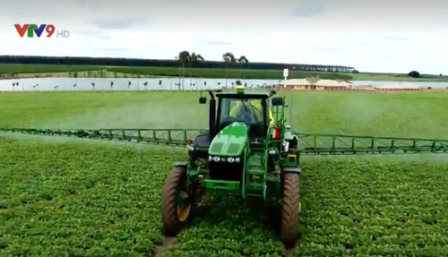 Sử dụng thuốc BVTV an toàn, hiệu quả hướng đến phát triển nông nghiệp bền vững