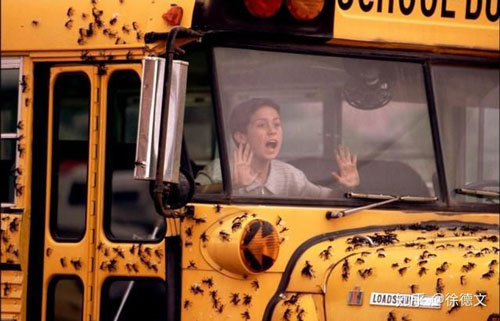 Điều gì sẽ xảy ra nếu tất cả các loài động vật trên Trái đất quay lưng phản kháng lại con người?