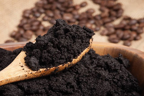 Bã cà phê bỏ đi không ngờ lại có tác dụng ngừa sốt xuất huyết