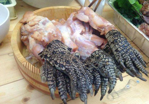 Món súp chân cá sấu của quốc đảo Singapore thách thức người “yếu tim”