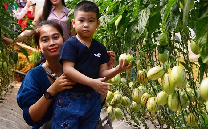 nong nghiep canh nong - mo hinh thiet yeu cua du lich da lat hinh 2