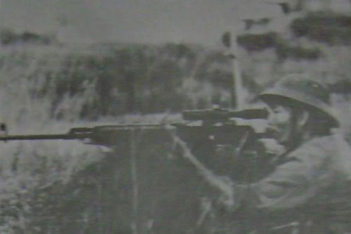 Bắt đầu được sản xuất hàng loạt từ năm 1964, súng bắn tỉa Dragunov do Liên Xô sản xuất lần tiên được sử dụng với số lượng lớn trên chiến trường Việt Nam. Nguồn ảnh: TL.