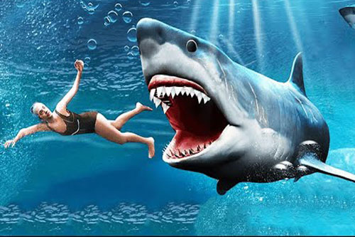 CLIP: Cá mập có khả năng ngửi thấy mùi máu từ cách xa một dặm?