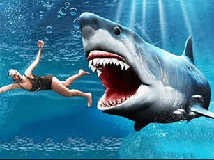 CLIP: Cá mập có khả năng ngửi thấy mùi máu từ cách xa một dặm?