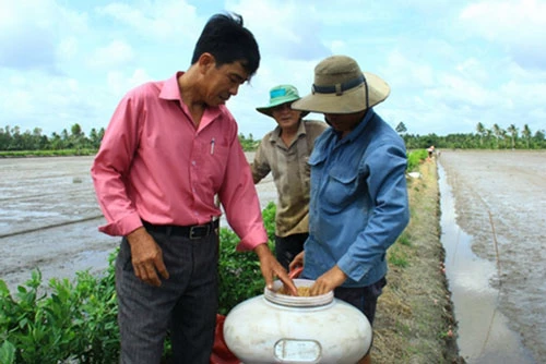 HTX đang là điểm sáng trong phong trào phát triển kinh tế hợp tác của tỉnh