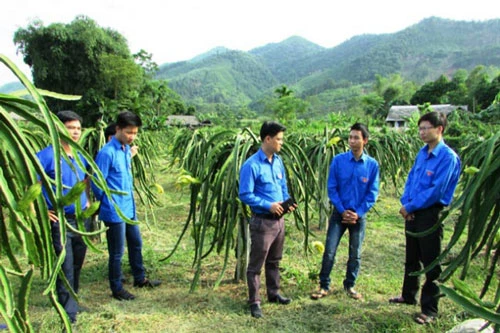 Nhờ chú trọng phát triển HTX nên nhiều địa phương của Hà Giang đã xây dựng thành công NTM (Ảnh: Internet)