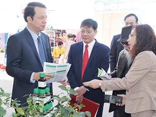 HTX ở Thái Nguyên góp phần xây dựng nông thôn mới