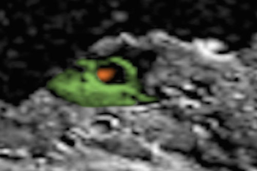 Rùng mình những gương mặt quái dị xuất hiện trên sao Hỏa (Phần 2)