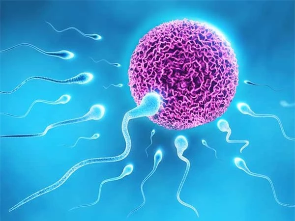 6 lợi ích tuyệt vời nếu bạn tắm nước lạnh mỗi ngày - Hình 5 6 loi ich tuyet voi neu ban tam nuoc lanh moi ngay-Hinh-5