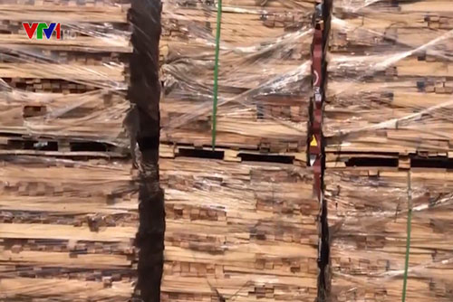 Thu giữ lô hàng gỗ xẻ trốn thuế trị giá 11 tỷ đồng ở TP.HCM