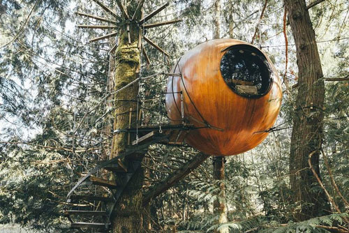 Những ngôi nhà trên cây tuyệt đẹp ai cũng muốn sống thử