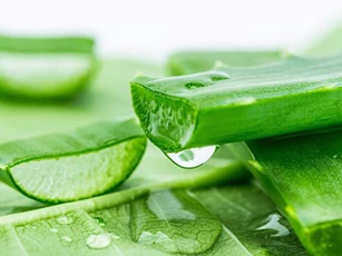 CLIP: Những mẹo vặt với nha đam mà bạn nên biết