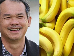 “Xông pha chinh chiến” đa ngành, nay bầu Đức lui về tập trung “làm nông”