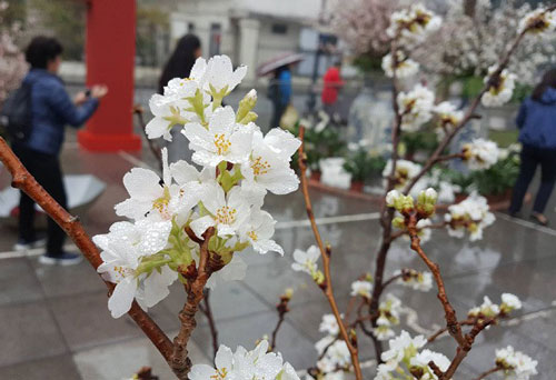 Nuôi em chồng 3 cái Tết liền, tôi còn bị hạch sách từng chút một