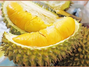 Ăn sầu riêng có ảnh hưởng đến thai nhi không?