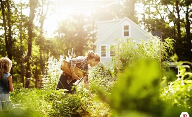 Diệt trừ ám khí để cả năm gia đình bình an nhờ những mẹo phong thủy đơn giản