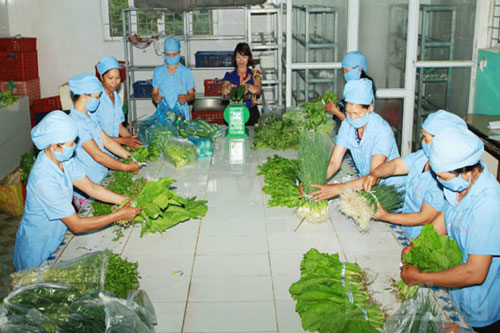 Bắc Giang đẩy mạnh truy xuất nguồn gốc hàng hóa trong các HTX