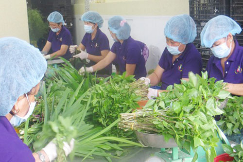 Nông sản sạch đồng hành cùng chông gai