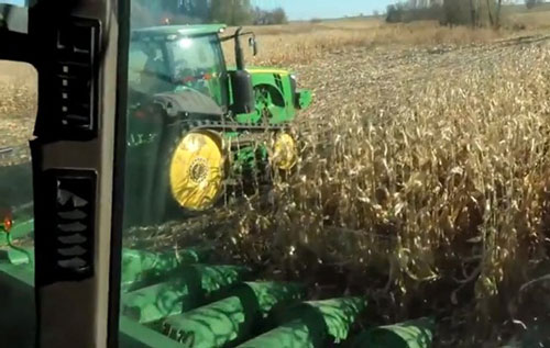 Quay clip kể chuyện đồng áng, anh nông dân "hốt bạc" tới tấp