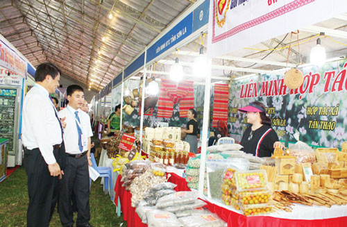 Nghệ An: Chỉ dẫn địa lý giúp HTX cạnh tranh